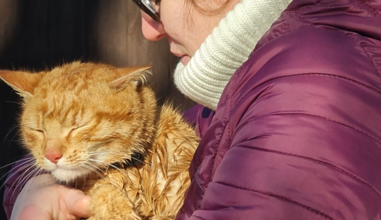 Kočka spadla do desetimetrové studny, zachránili ji hasiči lezci