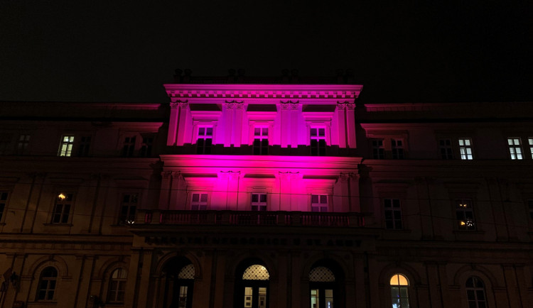 Radnice i univerzita v Liberci se rozsvítí fialově. Upozorní tak na téma epilepsie