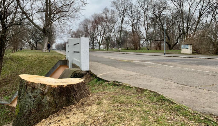 Na Vítkově jde k zemi přes sedmdesát stromů. Na jaře má začít revitalizace