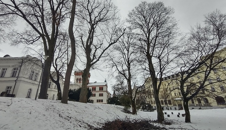 Liberecké parky se připravují na jaro. Vysadili do nich habr či platan
