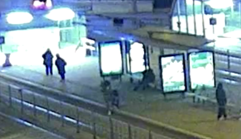 Napadení psem na brněnském nádraží