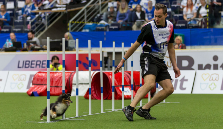 Mistrovství světa v agility se blíží. V Liberci na podzim změří síly stovky závodníků.