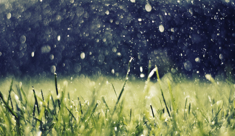 Přeháňky i slunce. Počasí bude jarní, teploty se vyšplhají až k sedmnácti stupňům