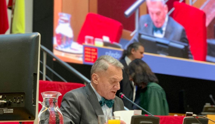 Pražští strážníci podle primátora neměli oprávnění zveřejnit video se Železným