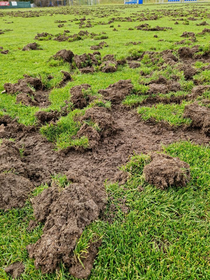 Fotbalisté dostanou od města tři miliony korun na obnovu hřiště, které zdevastovali divočáci