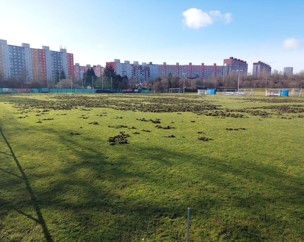 Fotbalisté dostanou od města tři miliony korun na obnovu hřiště, které zdevastovali divočáci