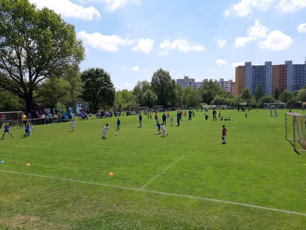 Fotbalisté dostanou od města tři miliony korun na obnovu hřiště, které zdevastovali divočáci