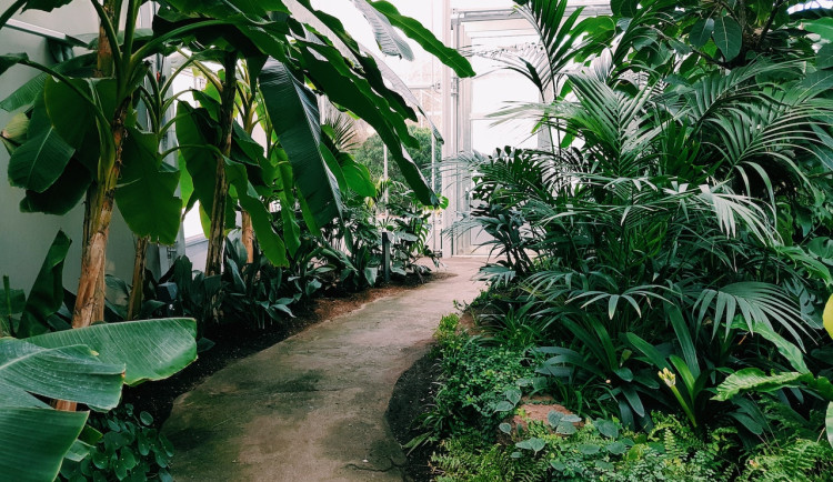 pexels-daniel-frese-1055408