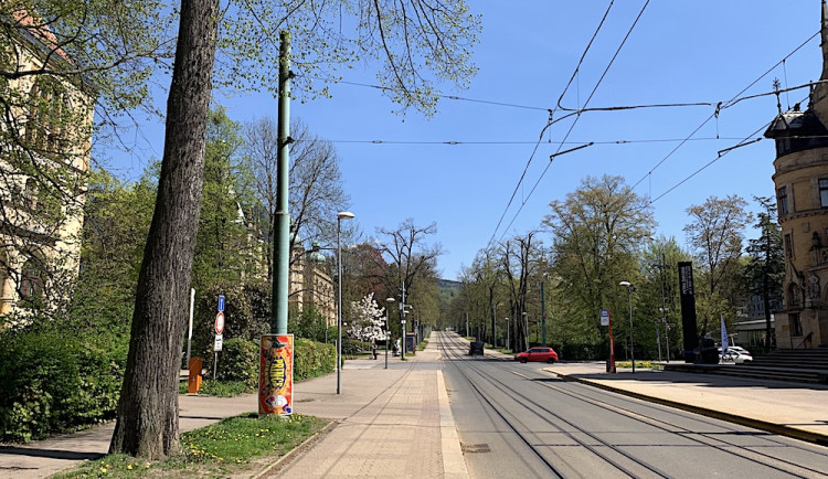 Liberec se přes deset let snaží stabilizovat alej na Masarykově třídě. Nakonec se celkové obnově nevyhneme, zní z města