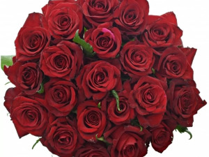 Soutěž o poukázku v hodnotě 500 korun na nákup květin na eshopu Florea.cz. Vyberte si ke Dni matek z pestré nabídky čerstvých květin