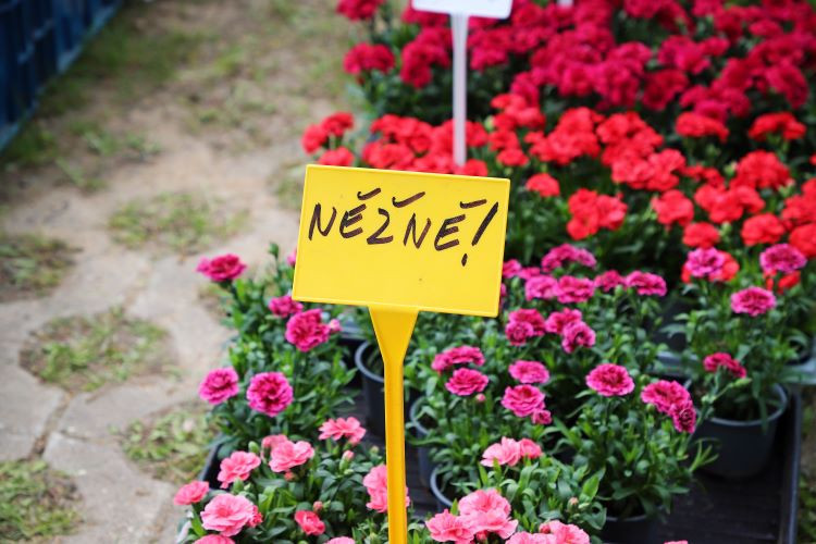 HOBBY slaví 30. narozeniny. Soutěžte s námi o dvě vstupenky