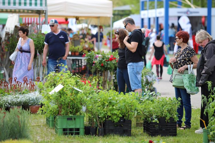 HOBBY slaví 30. narozeniny. Soutěžte s námi o dvě vstupenky