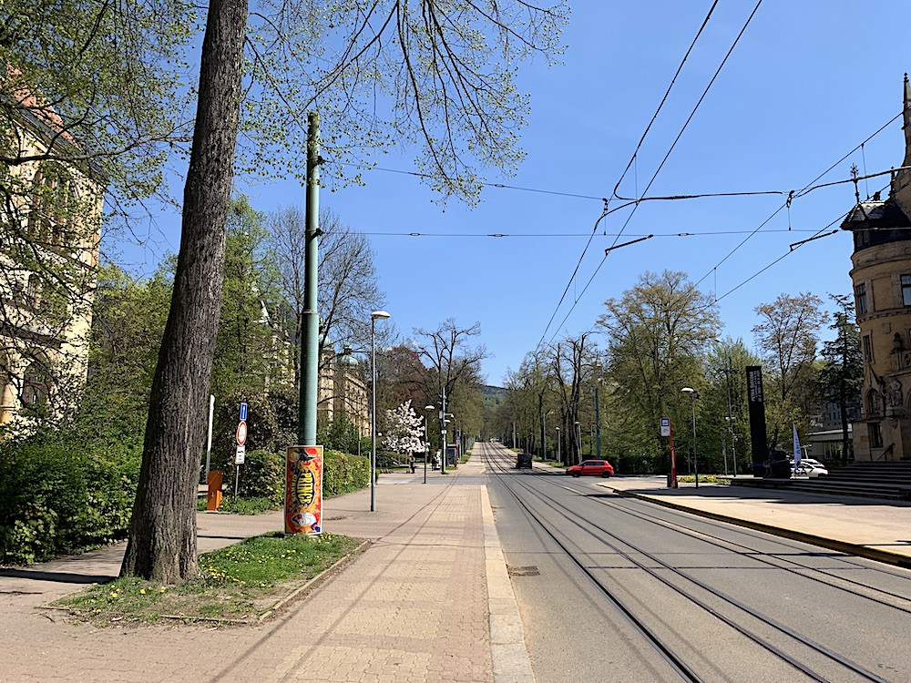 Liberec se přes deset let snaží stabilizovat alej na Masarykově třídě. Nakonec se celkové obnově nevyhneme, zní z města