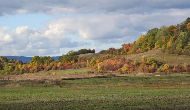 Do krajiny se vrací remízky. Velký, plný keřů a stromů, vyroste na Frýdlantsku