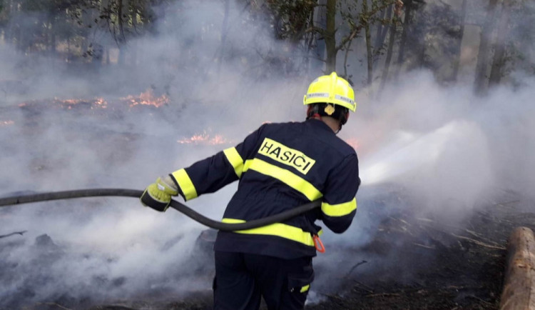 Západní Čechy sužuje sucho, meteorologové i hasiči varují před možnými požáry