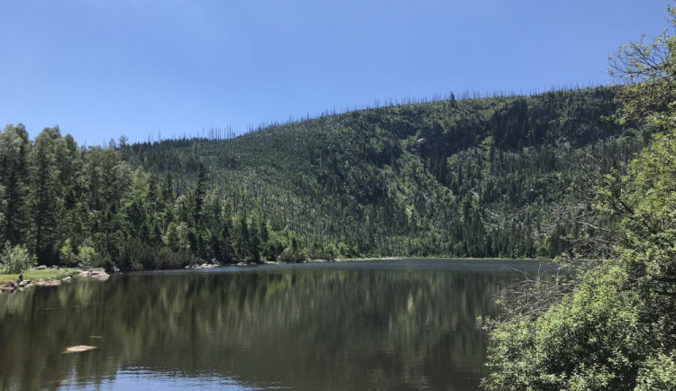 Lidé chtějí třídit odpad v přírodě. V národních parcích však koše nenajdou.