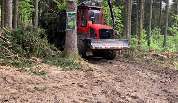 Kácení na Proseči je necitlivé, míní místní. Podle lesníků jde o běžný postup