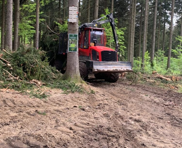 Lidem vadí způsob, jakým je les těžen.