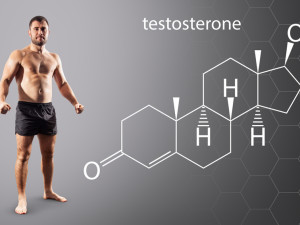 Proč je důležitá správná hladina testosteronu?