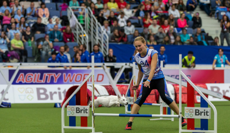 Mistrovství světa agility v Liberci se nezadržitelně blíží, vstupenky mizí.