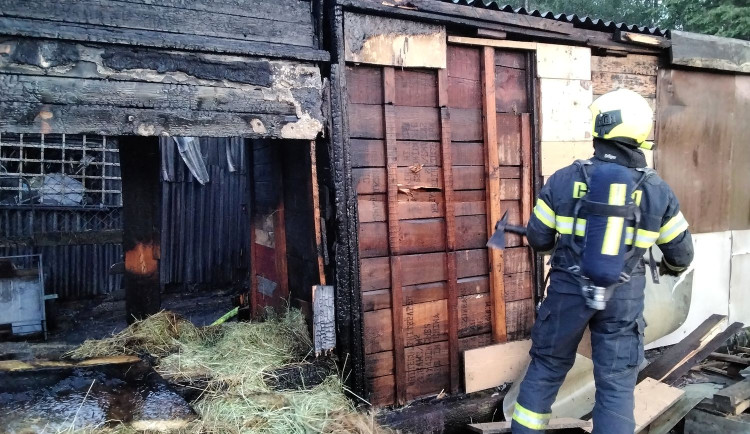 Hořely zahradní domky v Chodově, šest jednotek bojovalo s požárem lesa v Horním Slavkově