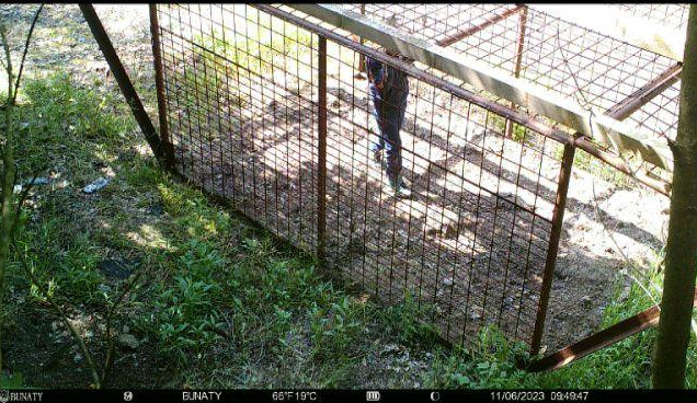 V klecích na odchyt divočáků v Jablonci si hrají děti. Kazí tak odlov