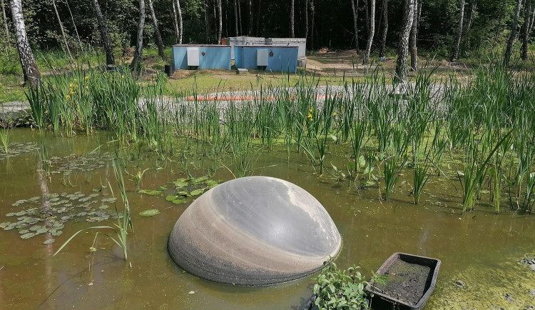 Unikátní technologie libereckých vědců dokáže čistit kontaminované vody. Využijí ji na skládce chemického odpadu v Polsku