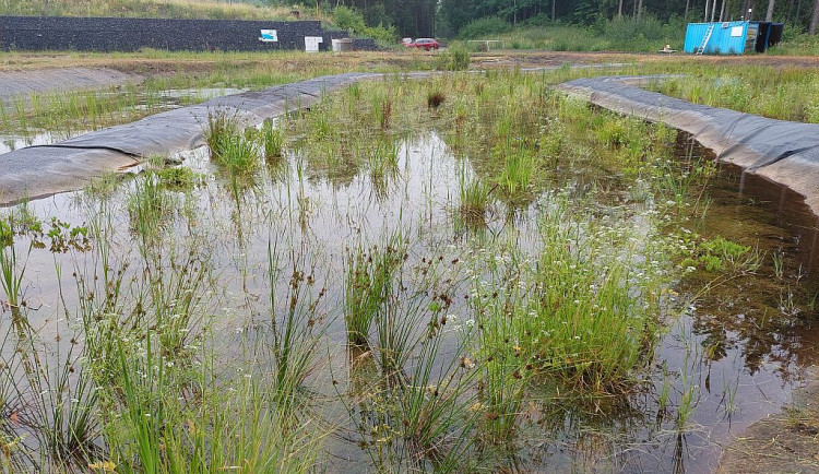 Unikátní technologie českých vědců dokáže čistit kontaminované vody, úspěšně funguje u Hájku na Karlovarsku