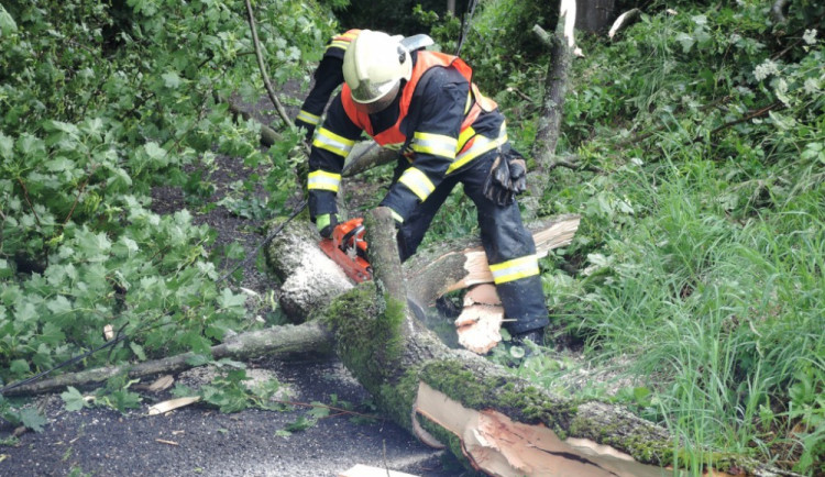 Liberecký kraj čekají tropy. Dorazí i bouřky a déšť