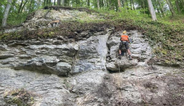 Stezka v Dolánkách bude na začátku prázdnin opět průchodná