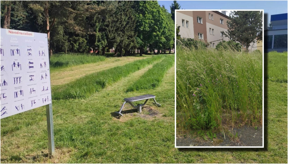 koláž Drbny (Město Domažlice + FB TausFejs/David Rácz)