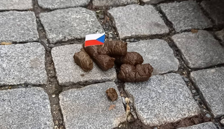 Strážníci v Praze řeší neuklizené psí bobky ve valné většině domluvou páníčkům