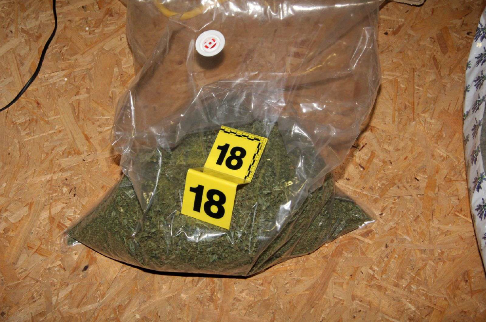 Kriminalisté odhalili špičkově vybavenou pěstírnu konopí na půdě rodinného domu a zajistili půl milionu v hotovosti