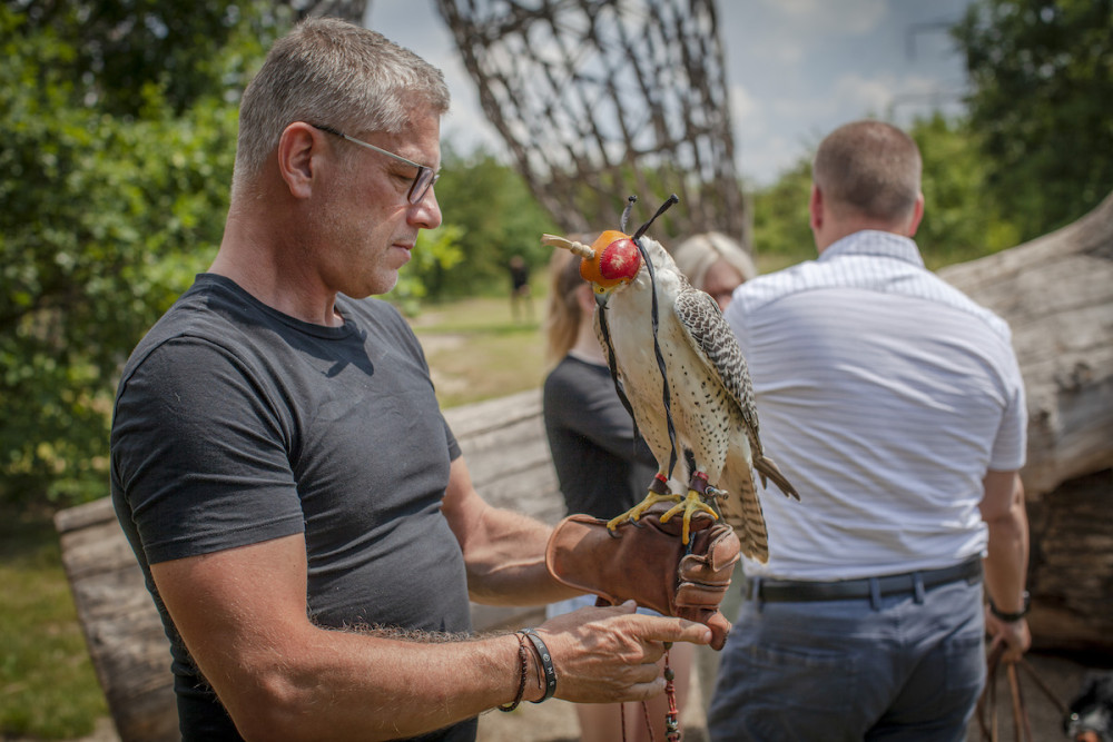 Praha 14 do boje s přemnoženými holuby pošle dva sokoly