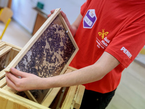 Bez včel by byly prázdné obchody
