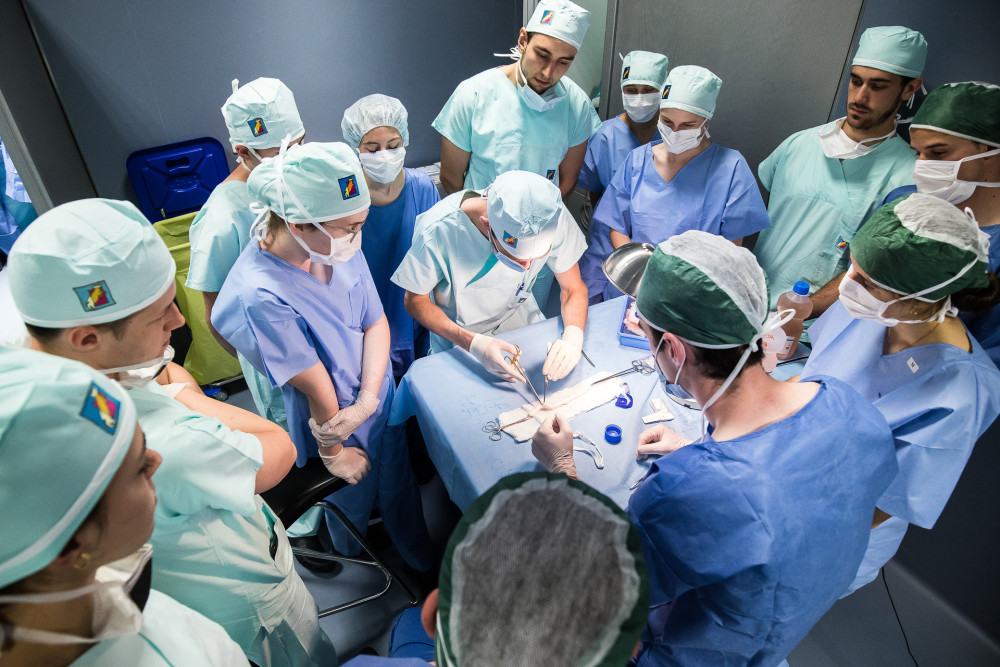 Studenti medicíny operují na škole v Plzni prasata, čtyřnohým pacientům sešívají cévy nebo odstraňují ledvinu