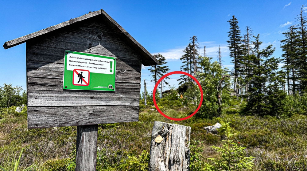 Turisté na Šumavě při sběru lesních plodů vstupují i na přísně zakázaná místa. Riskují tak pokuty v řádech tisíců