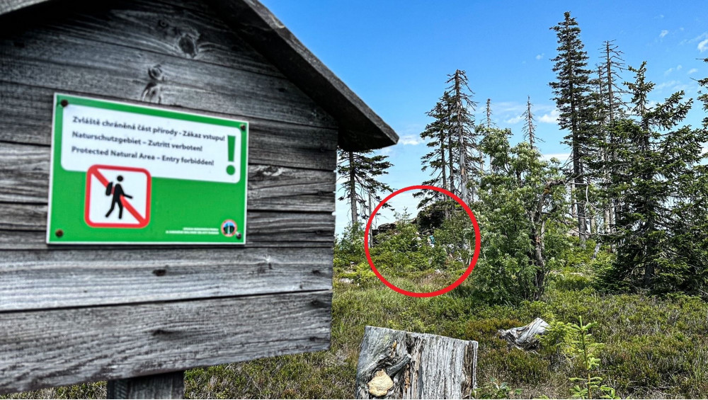 Turisté na Šumavě při sběru lesních plodů vstupují i na přísně zakázaná místa. Riskují tak pokuty v řádech tisíců