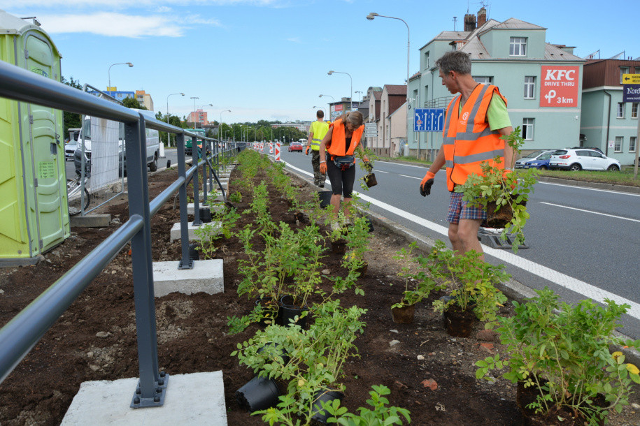 Růžová Velkomoravská. Olomouc investuje miliony do zkrášlení rušného průtahu