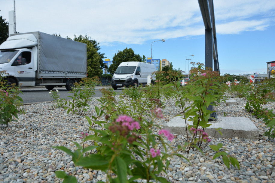 Růžová Velkomoravská. Olomouc investuje miliony do zkrášlení rušného průtahu