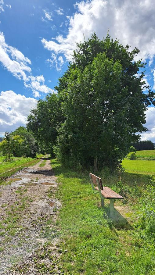 Na takzvané dálnici u Tyršova koupaliště ve Dvoře Králové jsou nové lavičky