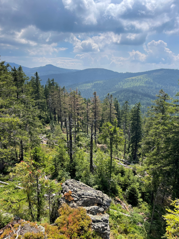 Poznejte tajemnou krásu méně známé šumavské hory, vyšlápněte si na bavorský Schwarzeck vysoký 1235 metrů