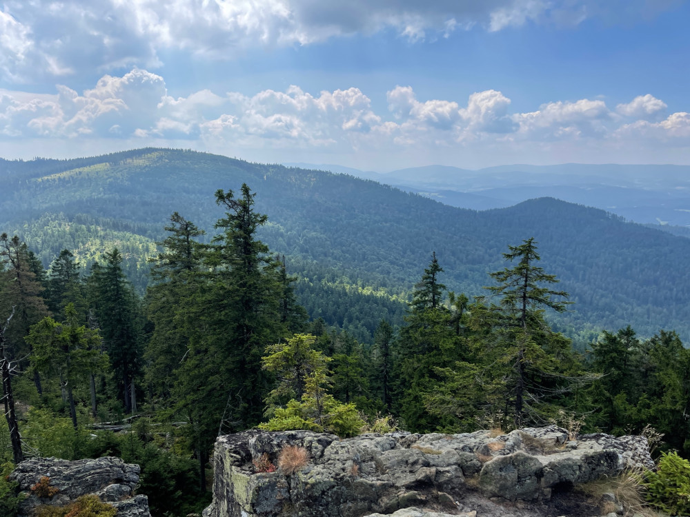 Poznejte tajemnou krásu méně známé šumavské hory, vyšlápněte si na bavorský Schwarzeck vysoký 1235 metrů