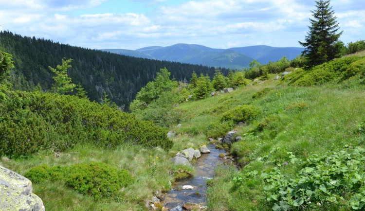 Tip na výlet: Po Krkonoších si vyšlápněte po Harrachově cestě