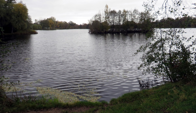 Cizinec si šel zaplavat. Z vody ho bez známek života vylovili policisté