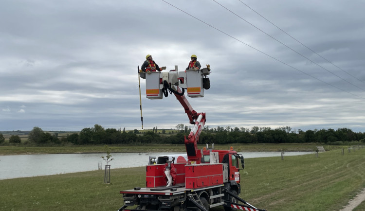 Energetici s ochranáři dávají na dráty vysokého napětí výstražné koule, aby neumírali ptáci