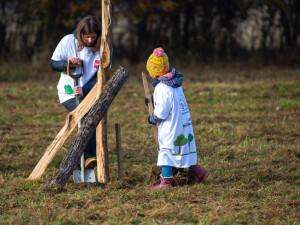 Sázení nových stromů je pro PENNY sázka na budoucnost