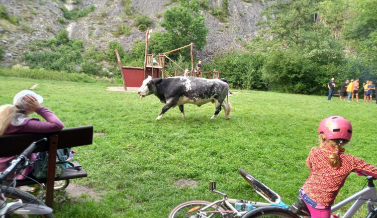 Neposedná stračena rozšlapala dětem bábovičky na pískovišti v Praze