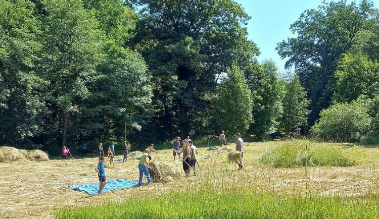 O vzácné luční biotopy v kraji pečují dobrovolníci z Česka i zahraničí