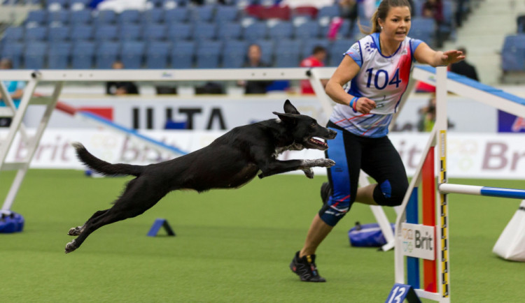 Mistrovství světa v agility 2023 v Liberci vypukne už za necelý měsíc